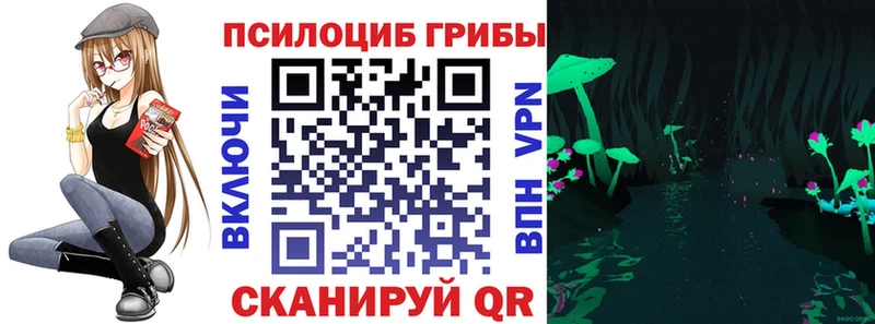 Купить  Лангепас  Псилоцибиновые грибы Cubensis 